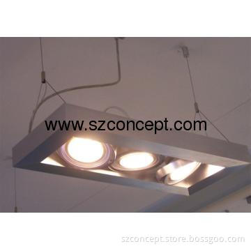 Modern Design 30W LED Pendent Light, LED Hanging Light - P